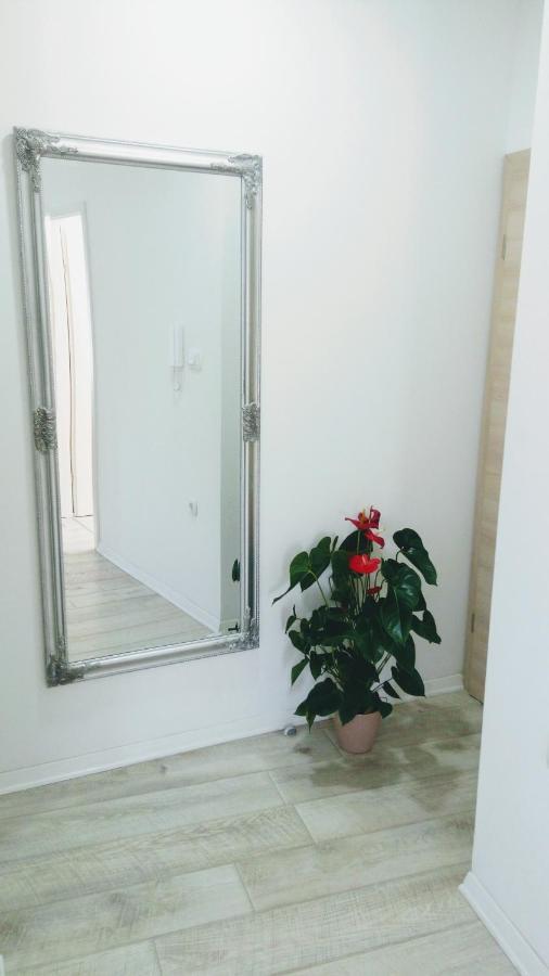 Apartment Davorka มาคาร์สกา ภายนอก รูปภาพ