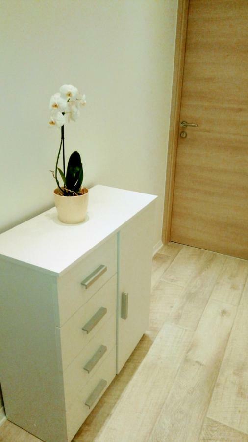 Apartment Davorka มาคาร์สกา ภายนอก รูปภาพ
